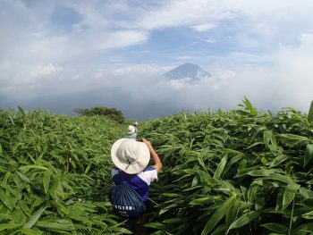 TIDE POOL　2017年度　SUMMER　CAMP　富士山アタック！