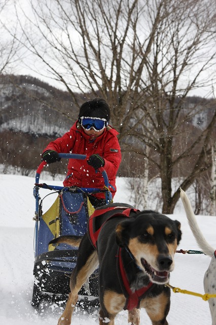 ナイトスノーシュー＆犬ぞり　1回目報告