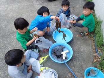 風が強く吹いた次の日はね！！浜辺に行くのだよ。海の恵みをいただけるからね。