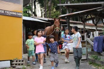第3回 開催　馬から学ぶ、「馬学び（UMANAVI）」クラス　6月21日（火）今回は保護者の見学もOKです。