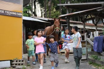 火曜日「じぶん」馬学び　2回目「信頼（絆）の芽吹き」