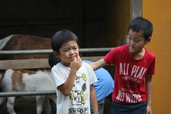 子ども同士は自然とお互いの生きる力を高めあう。 余計な想念を払い落とし、自由であれば。