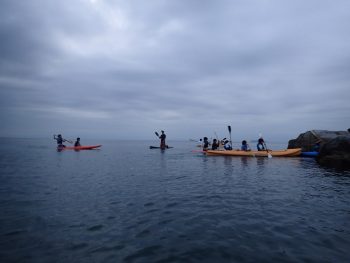 いきなり、社会に出て、大人になってから、そうしてよ。って言われてもできないよ。