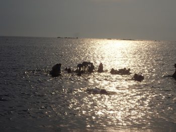 7月7日　葉山海開き！　子供たちと自然は波長がとても良いですよ。心からそう感じました。