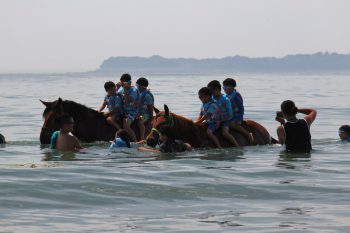 馬学び　一生忘れない体験を…。それは強さとやさしさを育む。