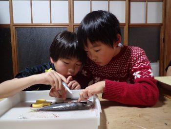 金曜日クラス「しぜん」魚の身体をのぞいてみよう！