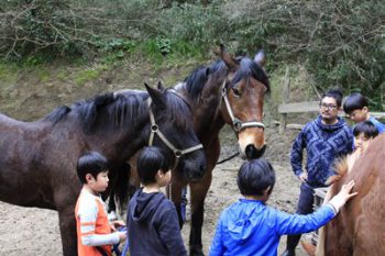 2018年度 第3回馬学び（UMANAVI）のご案内 「愛情」「勇気」「自立」の心を持ち「生きる力」を自ら育む