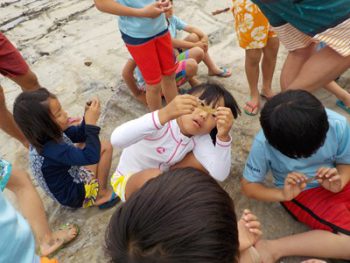 TIDE POOLを観察してみよう！