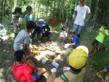 星山無料開放します。2020年3月5日木曜日　情報