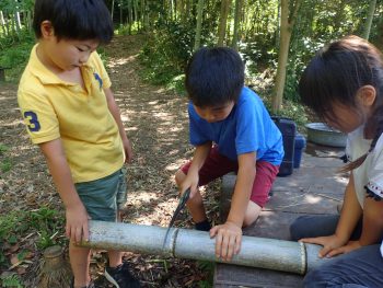 人間の本能に触れるよね