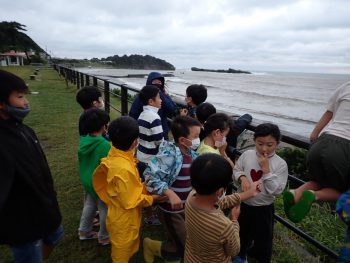 台風って大切よね。