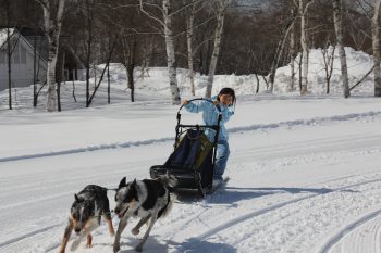 ウィンターアドベンチャー「ナイトスノーシュー＆犬ぞり」