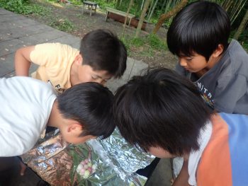 今日のわんぱく「お菓子を溶かすと・・・」