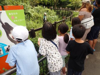 火曜日じぶんクラス→金沢動物園へ